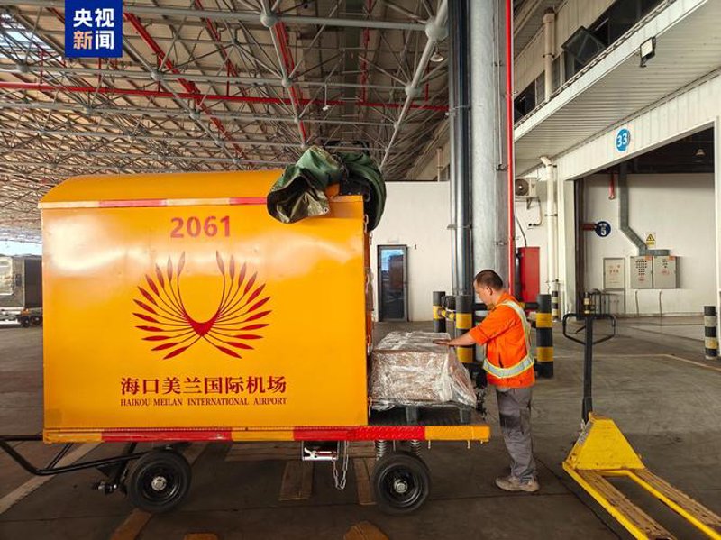 港湾里的绿色变迁：集装箱堆场的新篇章